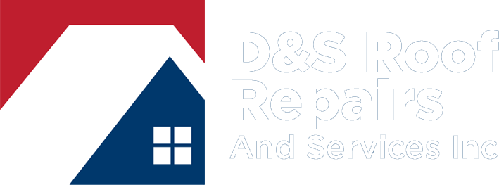 logo-ds-repairs